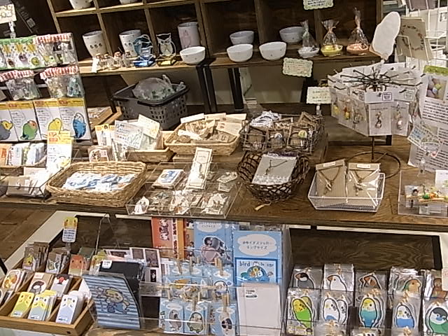 鳥展、展示をがらりと変更!展示の様子たっぷりご紹介_d0322493_1261878.jpg