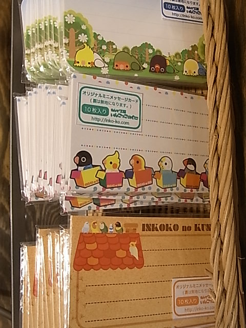 鳥展、展示をがらりと変更!展示の様子たっぷりご紹介_d0322493_126317.jpg