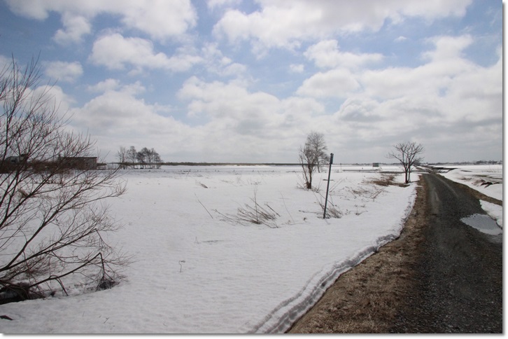 f0146493_14123669.jpg