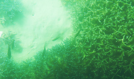 d0071596_21521990.jpg