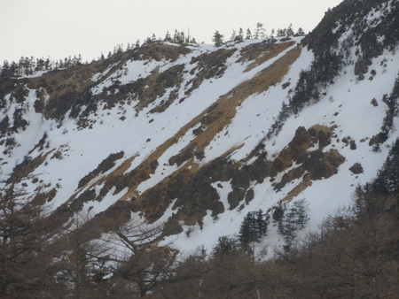 登山道情報_e0120896_8346.jpg