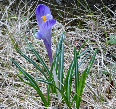a0075800_10192481.jpg