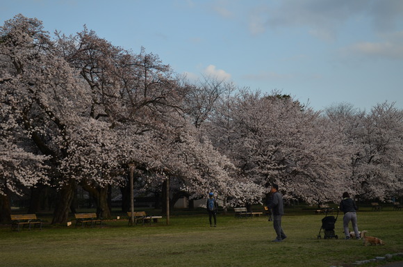 a0288500_8571857.jpg