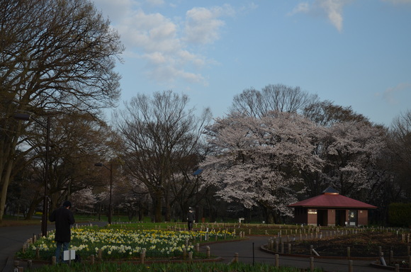 a0288500_8575797.jpg