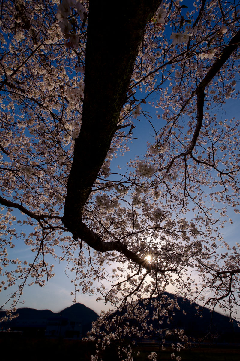 d0200900_231346.jpg