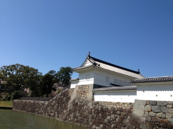 桜と小田原城_c0203401_12493853.jpg