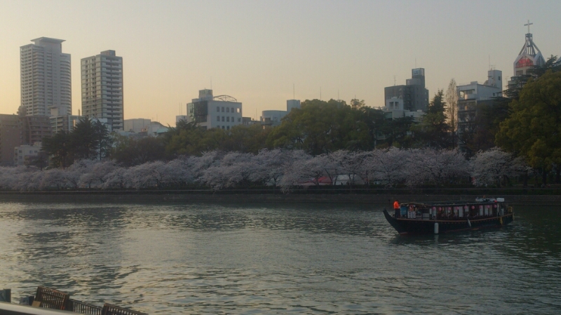 大阪の桜_d0125501_18153019.jpg
