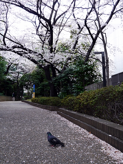 c0187503_2216128.jpg