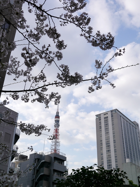 c0187503_2217791.jpg
