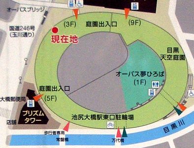 サクラ満開　2014　＠目黒・世田谷_b0044404_8322277.jpg