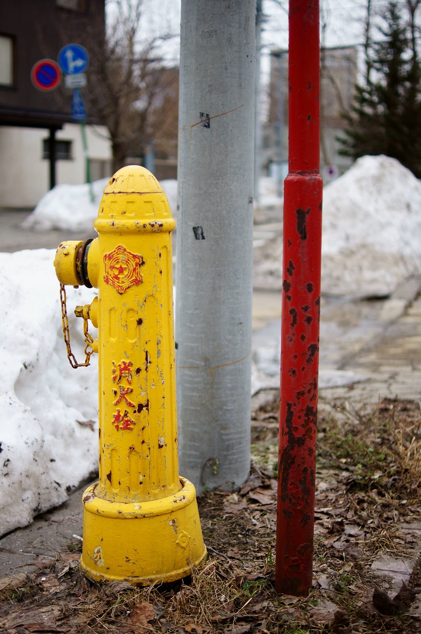 中島公園付近の雪解け_b0225108_21501333.jpg