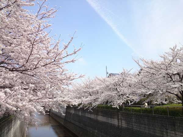 a0095010_13533468.jpg