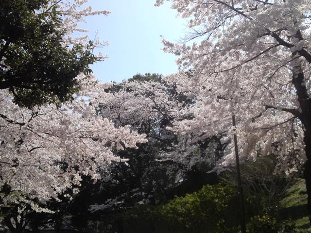 e0117613_13122172.jpg