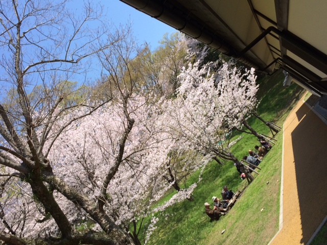a0044019_12595581.jpg
