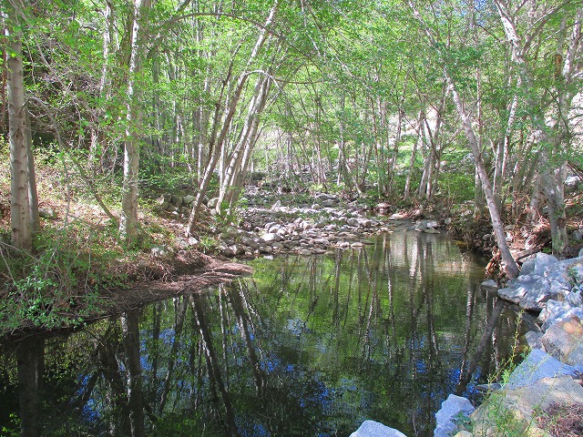 ピカイチ渓流美ならここ！ West Fork - San Gabriel River in