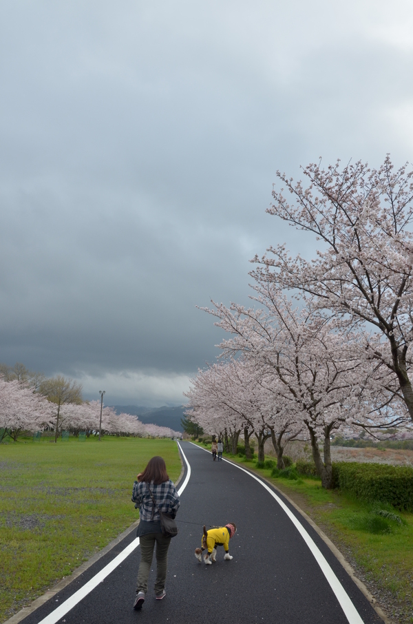 別の場所で。。。_b0279623_14522353.jpg