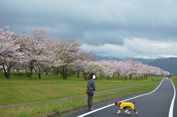 別の場所で。。。_b0279623_155441.jpg