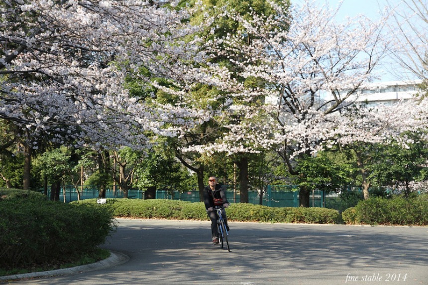 c0240132_66091.jpg