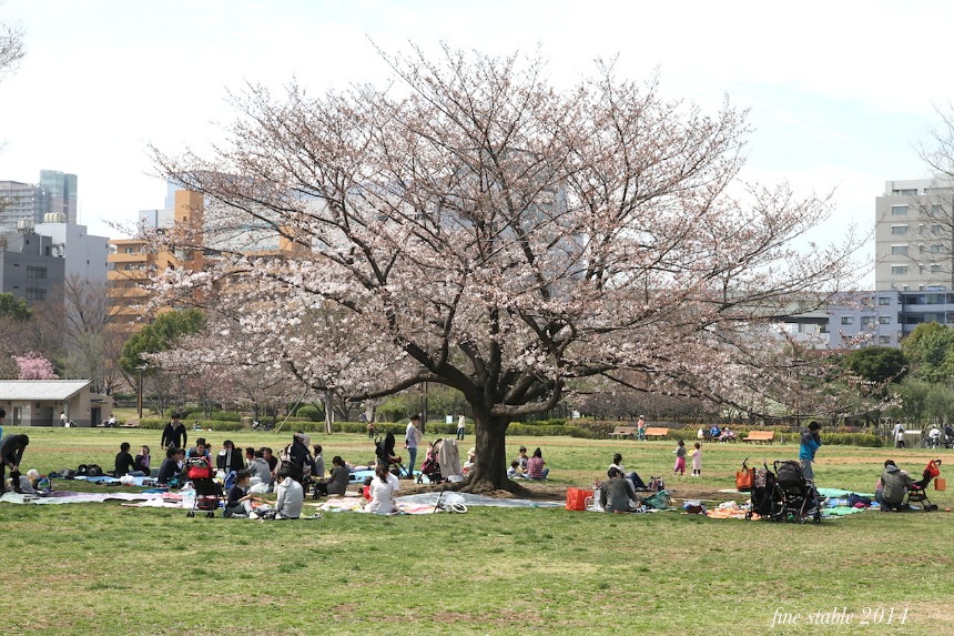 c0240132_661330.jpg