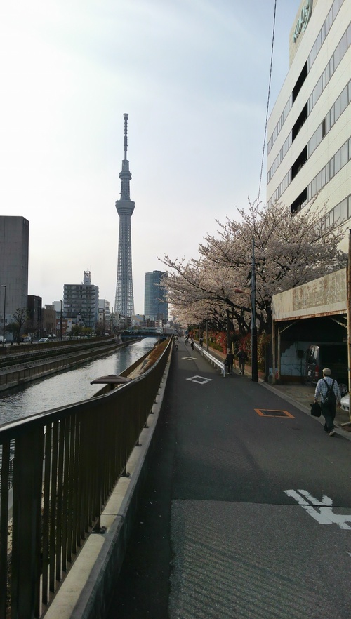 e0208633_405837.jpg