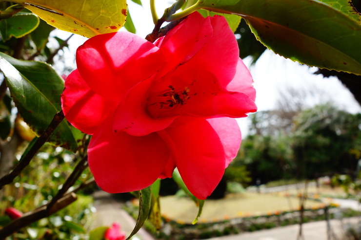 a0287336_1814149.jpg