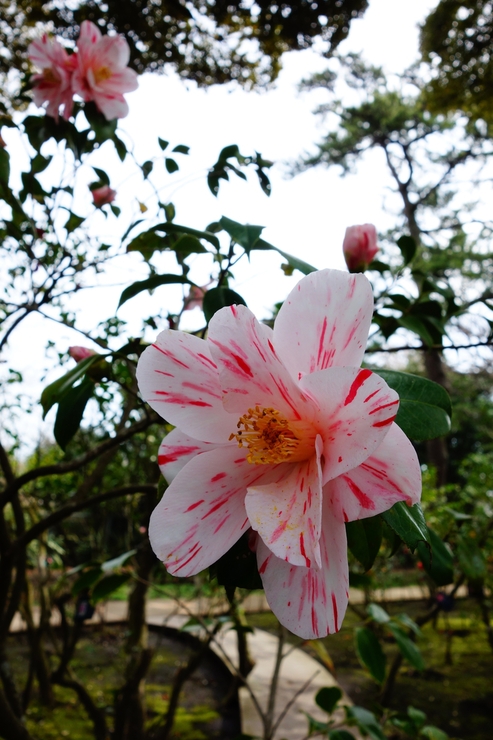a0287336_18164398.jpg