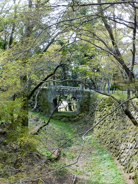 サクラ、さくら、桜、ＳＡＫＵＲＡ♪_f0228539_17541368.jpg