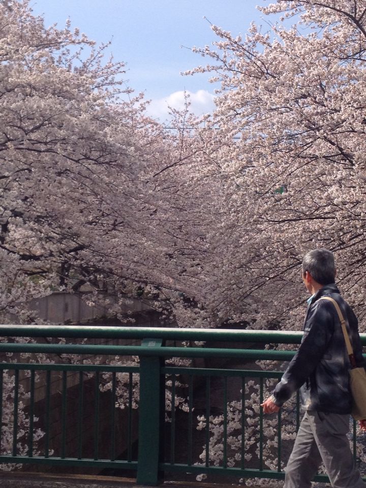 b0021251_9132811.jpg