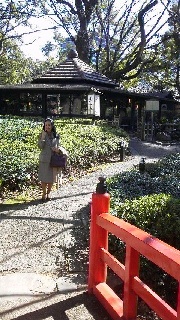 さくらのこと その1_b0299052_17542964.jpg