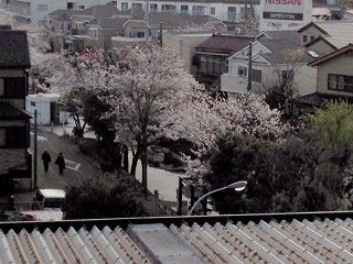 a0307453_17563216.jpg