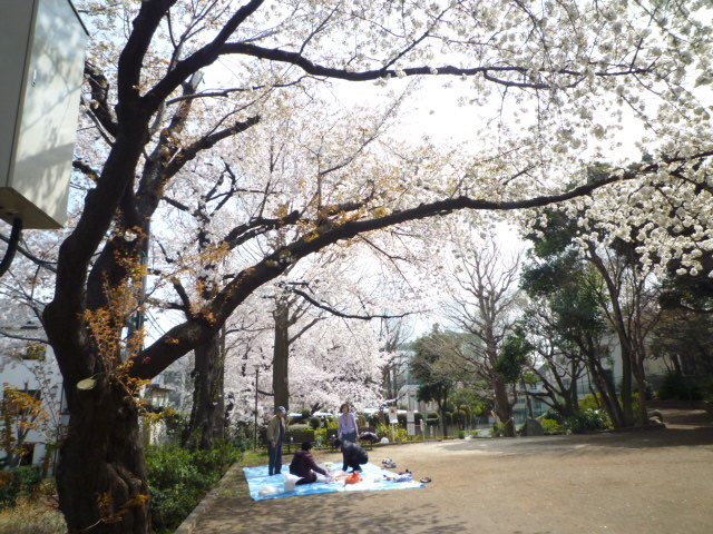 b0246953_13381797.jpg