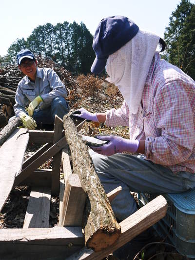 原木しいたけ コマ打ち作業「もう金づちは使わんばい!」_a0254656_1856560.jpg