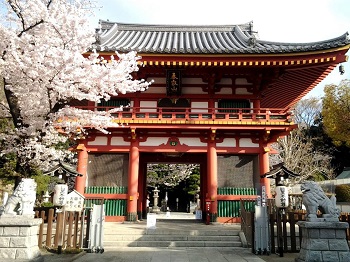 目黒川&目黒不動尊_a0061057_15352127.jpg