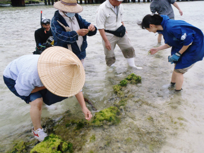 カーミージーの海で遊び隊_c0180460_12371617.jpg