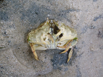 c0180460_1240270.jpg