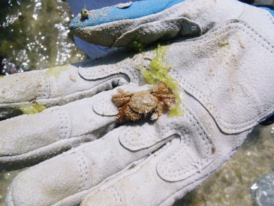c0180460_12524565.jpg