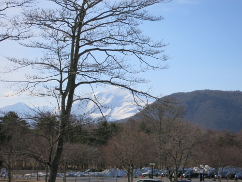f0236260_13492702.jpg