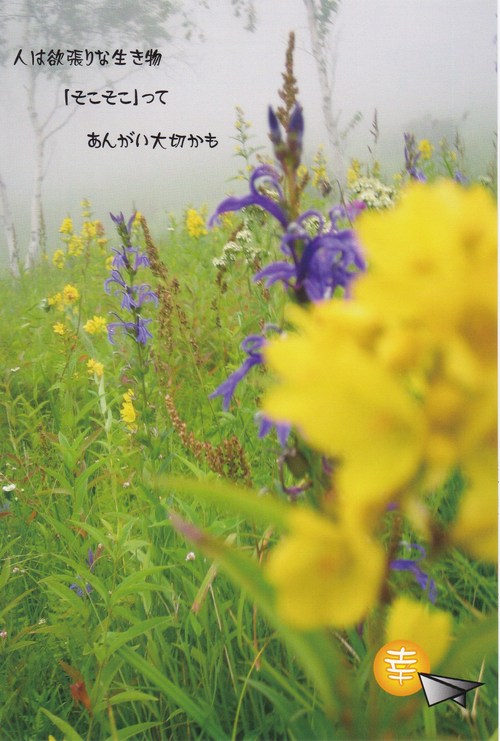 小さなお店です。。。。_b0129362_2192450.jpg