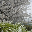 f0256164_1116519.png