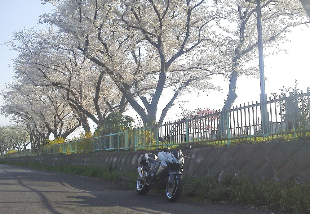 T橋クン号 \'09モデル Z1000の車検やらメンテやらが完成♪（Part2）_c0086965_20321539.jpg