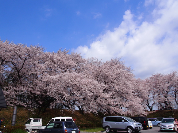 b0194267_16553781.jpg