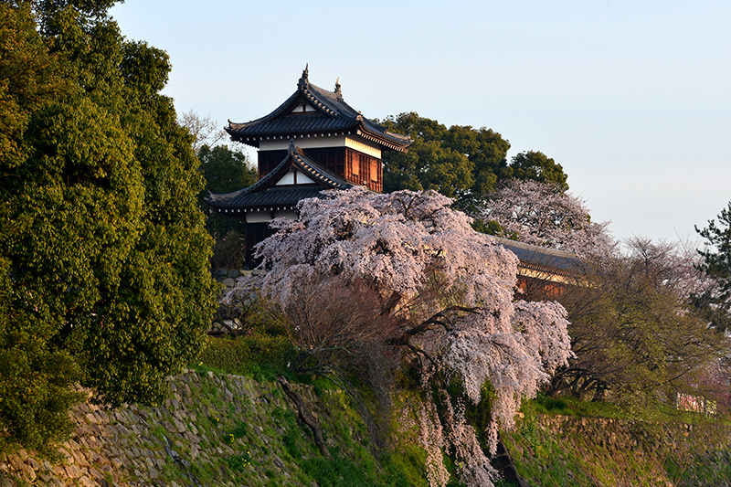 大和郡山城_c0317868_18262387.jpg