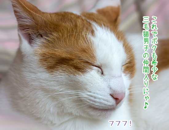 a0119470_18472365.jpg