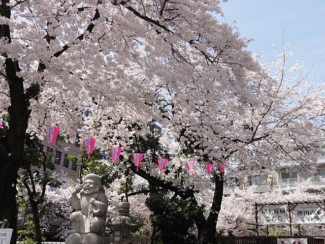 都心の桜は神田明神でOK？ （4/1）_b0006870_23223814.jpg