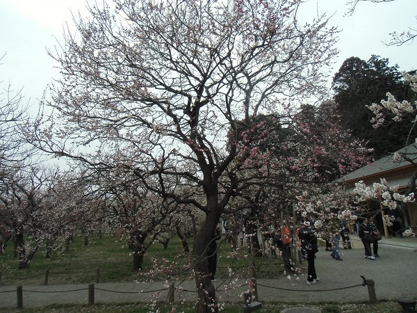 c0273271_9385883.jpg