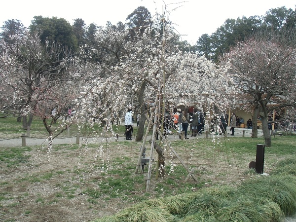 c0273271_9393960.jpg