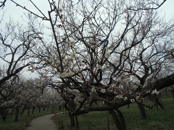 c0273271_9415485.jpg