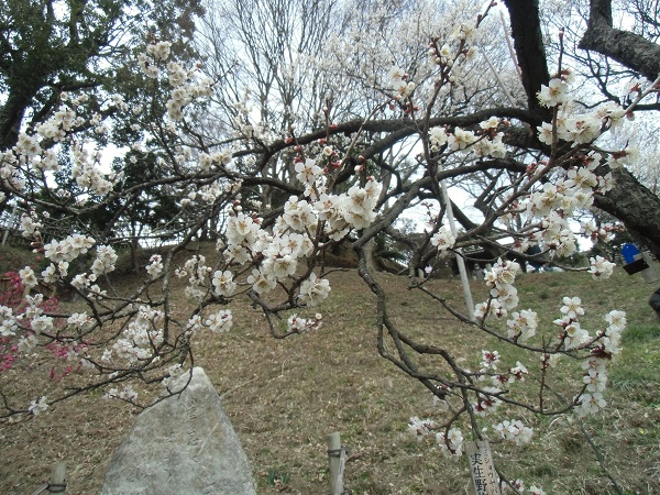 c0273271_94386.jpg