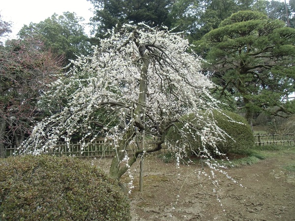 c0273271_9524911.jpg