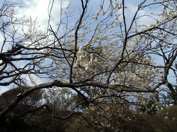 c0273271_9535818.jpg